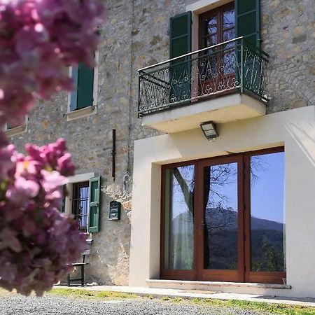 B&B Demetra Solignano Exterior photo